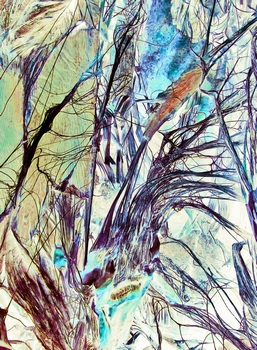 AP 160A1